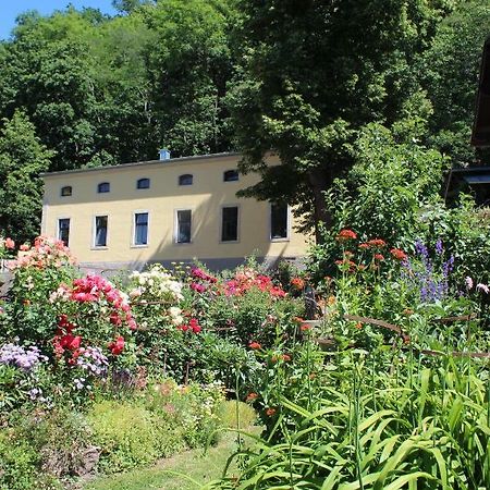 Ferienwohnung Goldgrund Meißen Zewnętrze zdjęcie