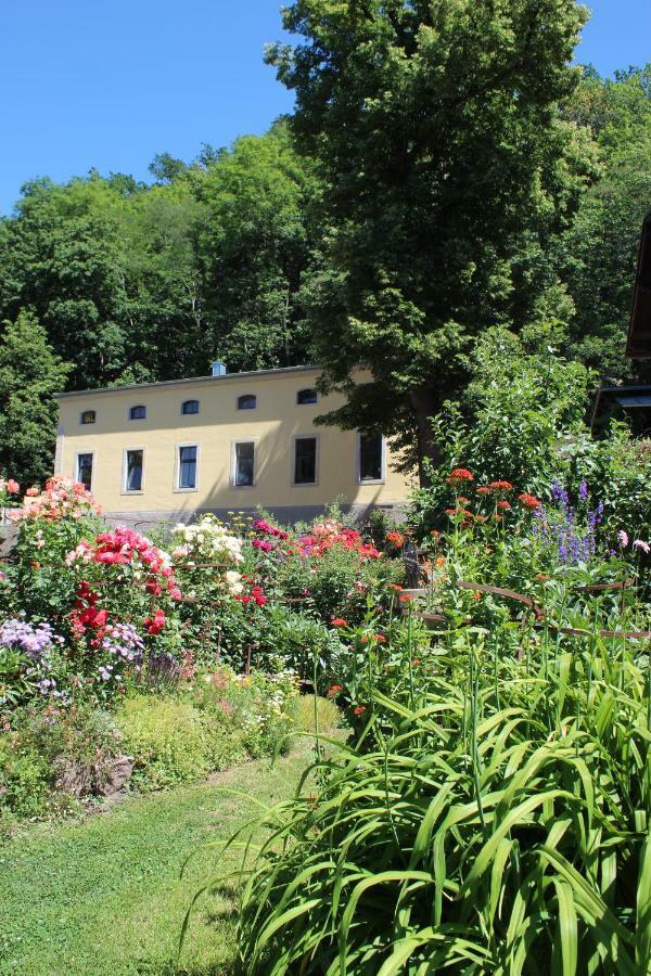 Ferienwohnung Goldgrund Meißen Zewnętrze zdjęcie